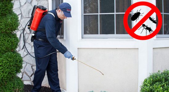 Niksar Dezenfeksiyon böcek ilaçlama ve haşere kontrolü — ilaclama-tr.com